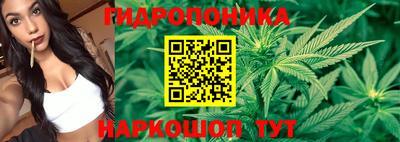 гашик Заволжье